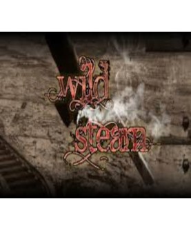 RPG Maker VX Ace - Wild Resource Pack DLC Steam Key GLOBAL